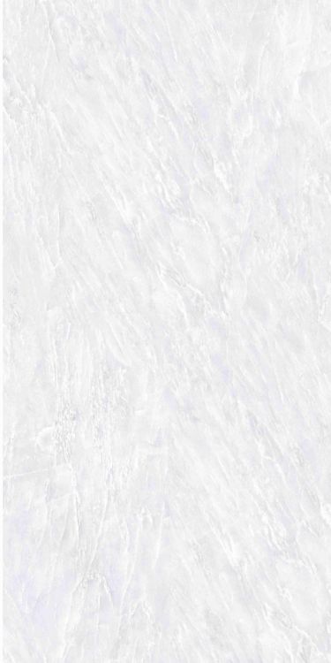 OL Vivid White Polished 24 x 48